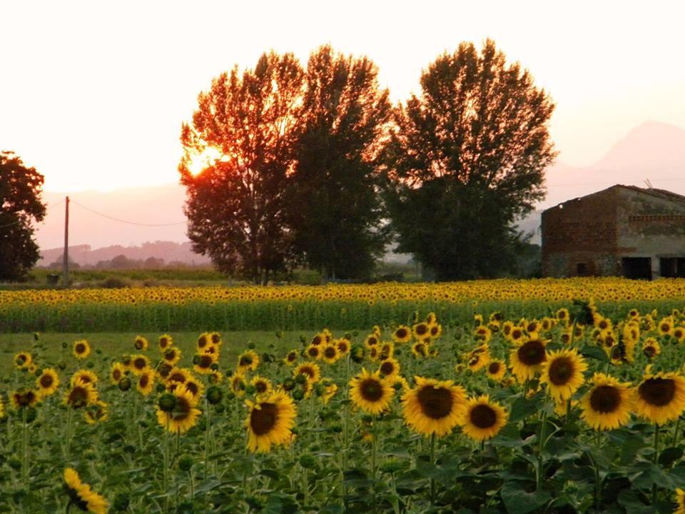 Agriturismo Settepassi Tuscany Ponte Buggianese Buitenkant foto
